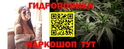 СК Рыбинск